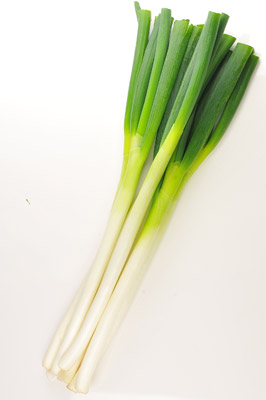 深谷ねぎ特徴